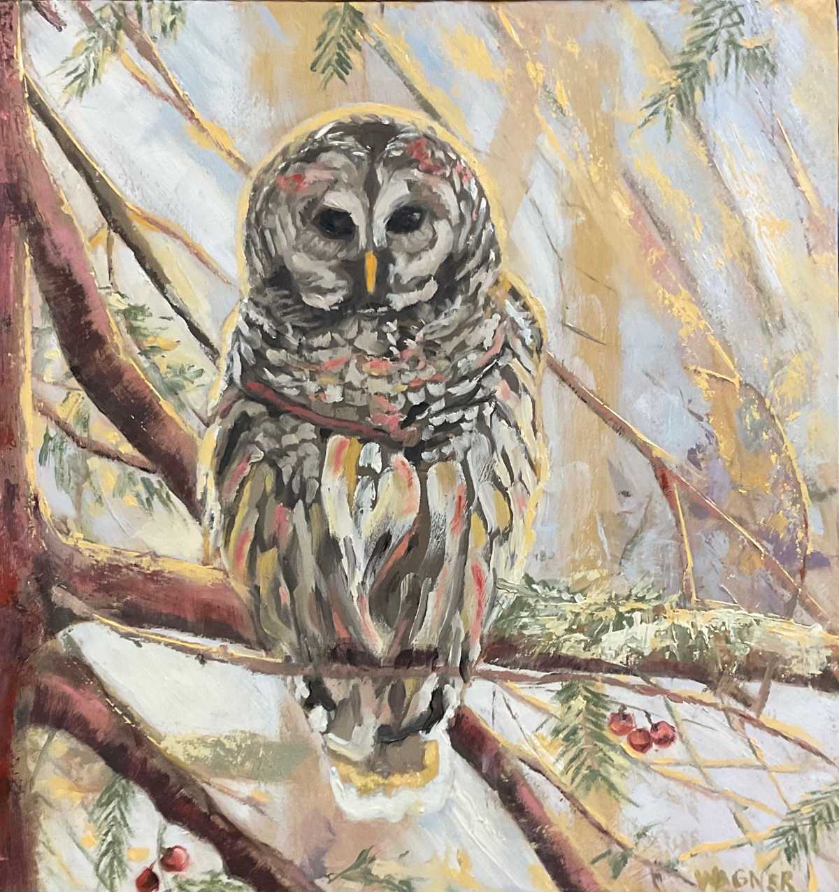 Winter Owl